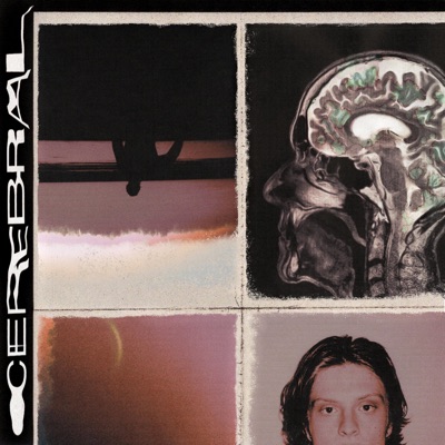 Cerebral - Single