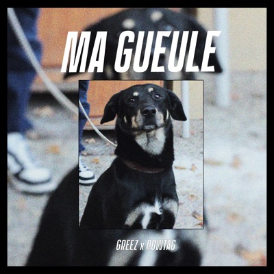 Ma gueule (feat. Greez) - Single