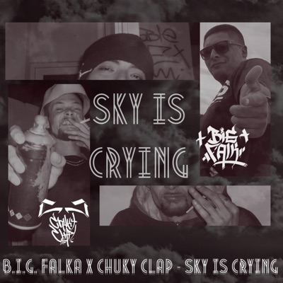 Sky Is Crying (feat. BIG Falk) - Single