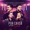 Por Causa Desse Se (Ao Vivo) - Single