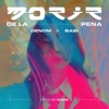 Morir de la Pena - Single