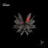 Rainer - Single