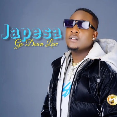 Go Down Low - Single