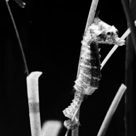 Luisa Take 4 (feat. LUISA) LUIS EDUARDO