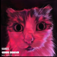 Genre Bender - Single - Kaamzs
