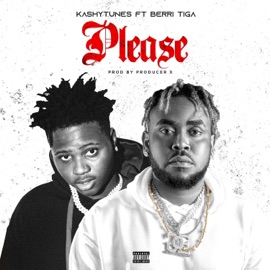 Please (feat. Berri-Tiga) KashyTunes