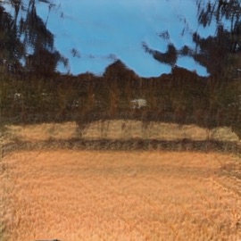 icarus tracey brakes