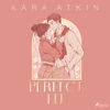 The Perfect Fit - Kara Atkin