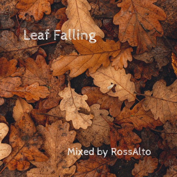 Leaf Falling (DJ Mix)