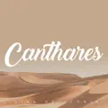 Hora da Virada