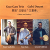 Gobi Desert - Guy Gan Trio