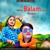 Mera Balam Gyo Pardesh - EP