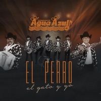 EL PERRO EL GATO Y YO - Single - Conjunto Agua Azul