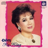 Đêm Hạ Hồng artwork