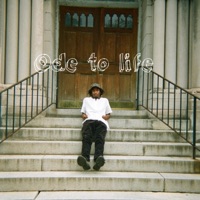Ode to Life - Swan Lingo
