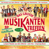 Various Artists - Das grosse Musikantentreffen - Folge 41 - 32 Spritzenreiter der Volksmusik artwork