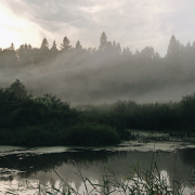 crickets - Sleep Music