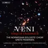 Stream & download Sjå i stille vinterkveld (Arr. D. Willcocks for Choir & Chamber Ensemble)