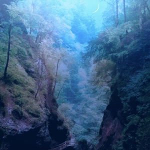 Moonlight