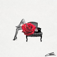 Sois ma muse, ça m'amuse - Single - Carolo