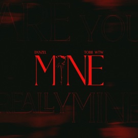 Mine DXNZEL & Tobii WTW