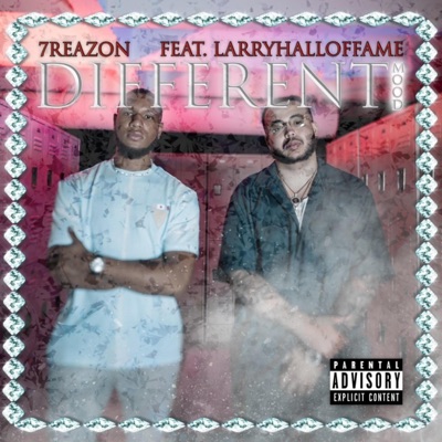 Different Mood (feat. LarryHallOfFame) - Single