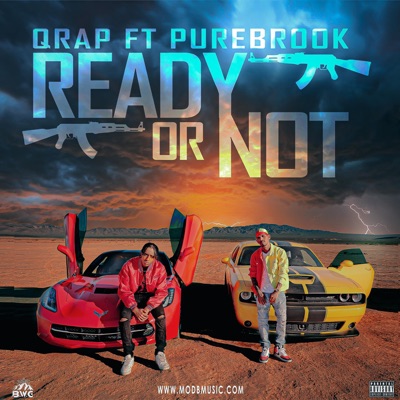 Ready Or Not (fuck fano) (feat. PureBrook) - Single