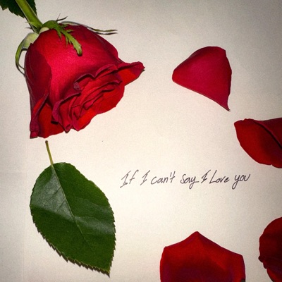 If I Can't Say I Love You - Single