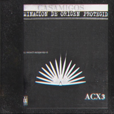 Casamigos (feat. Jaii) - Single