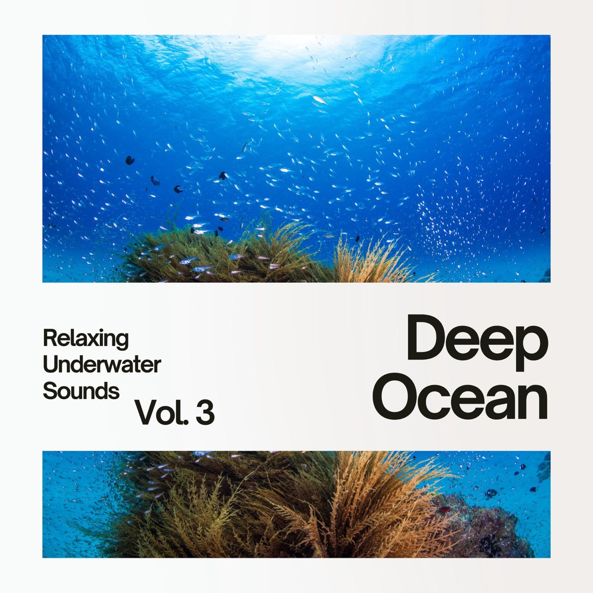 ‎Deep Ocean: Relaxing Underwater Sounds Vol. 3 By Underwater Music And ...