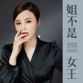 姐不是女王 王莎莎
