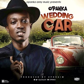Wedding Car Opanka