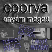 Anyám mögött (Kurva szádat toszódj meg!) artwork