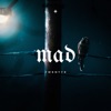 mad (feat. twntY) - Single