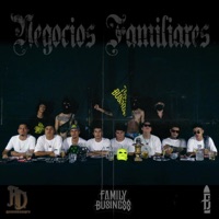 Negocios Familiares - Single - Family Business