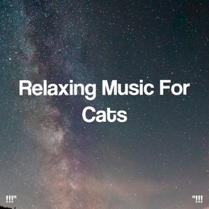 !!!" Relaxing Music for Cats "!!!