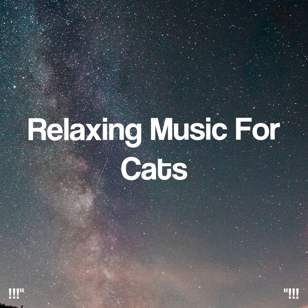 !!!" Relaxing Music for Cats "!!!