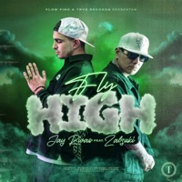Fly High - Single - Zalzuki, Jay Rivas & LGHT