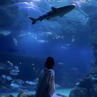 life - Single - trinxty