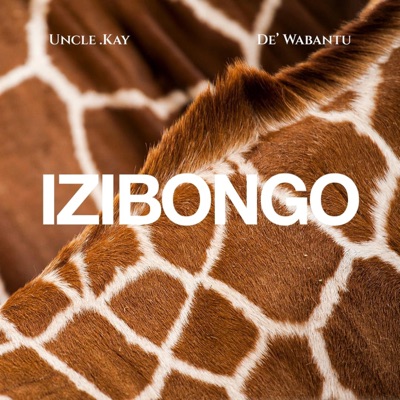 IZIBONGO (feat. UNCLE .KAY) - Single