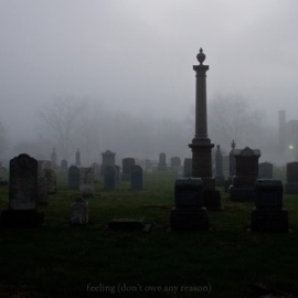 Feeling (Don't Owe Any Reason) Yunglynx