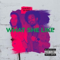 WHAT SHE LIKE (feat. Bo Dean & King Cash Beatz) - Single - Colin Rich