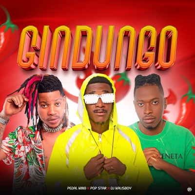 Pop Star, Pedal King & DJ Kalisboy - Gindungo