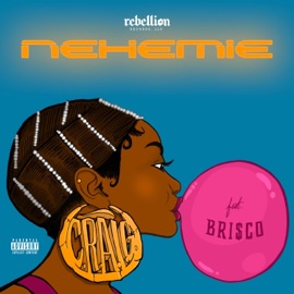 C.R.A.I.G. (feat. Brisco) Nehemie