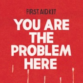 You are the Problem Here artwork