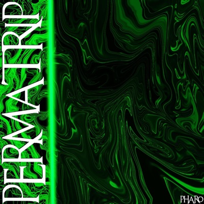 Permatrip - Single