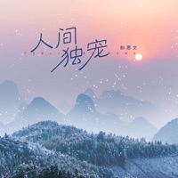 人间独宠 (DJ沈念版) - Single - 彭思文