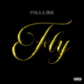 Fly (feat. PIKA) S.K.R