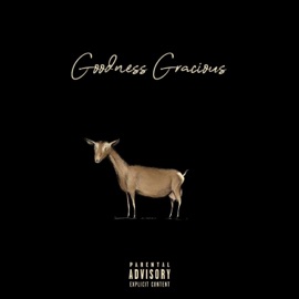 Goodness Gracious (Acapella Version) 1k StayActive