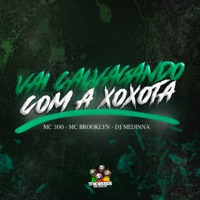Vai Cavalgando Com a Xoxota - Single - MC 300, Mc Brooklyn & Dj Medinna